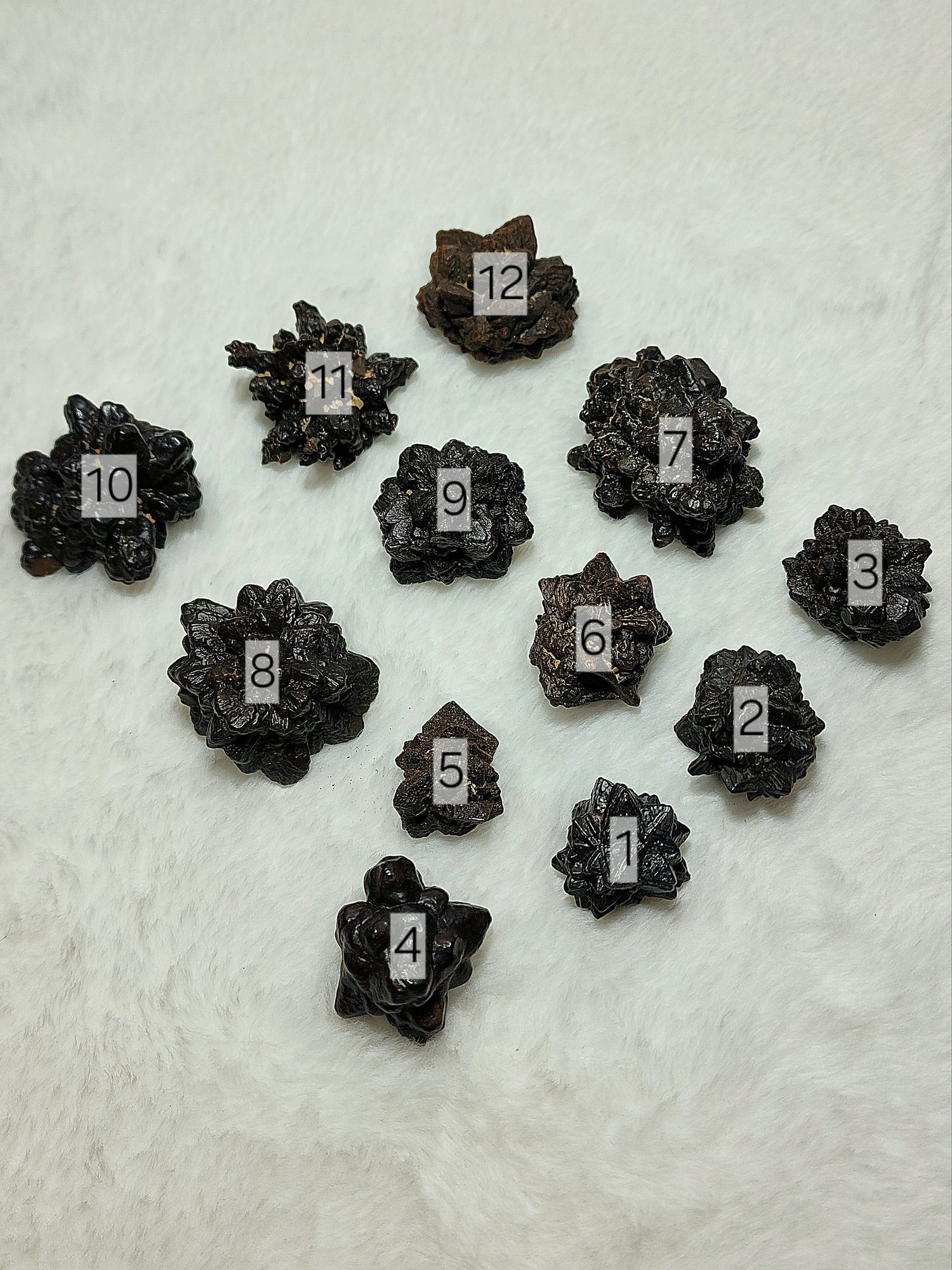 หิน Prophecy Stone