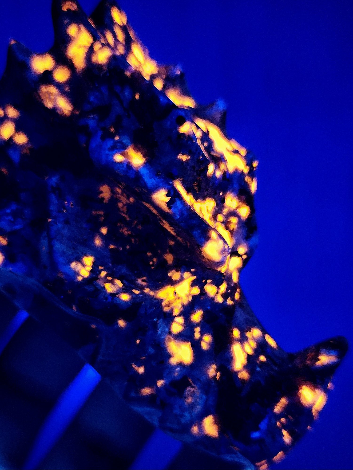 หิน Yooperlite Dragon Head