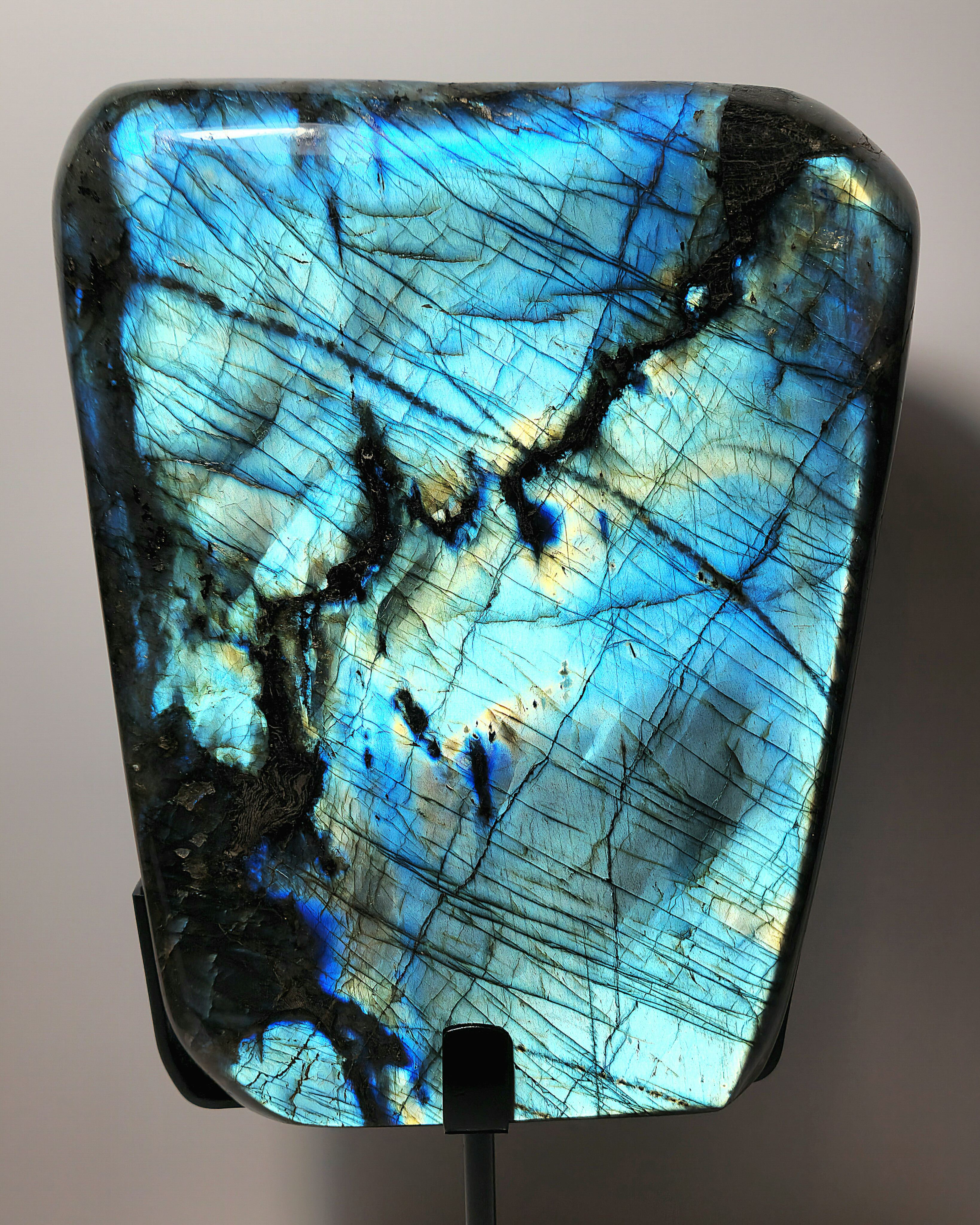 หินธรรมชาติ Little Turtlery ชิ้นที่ 4