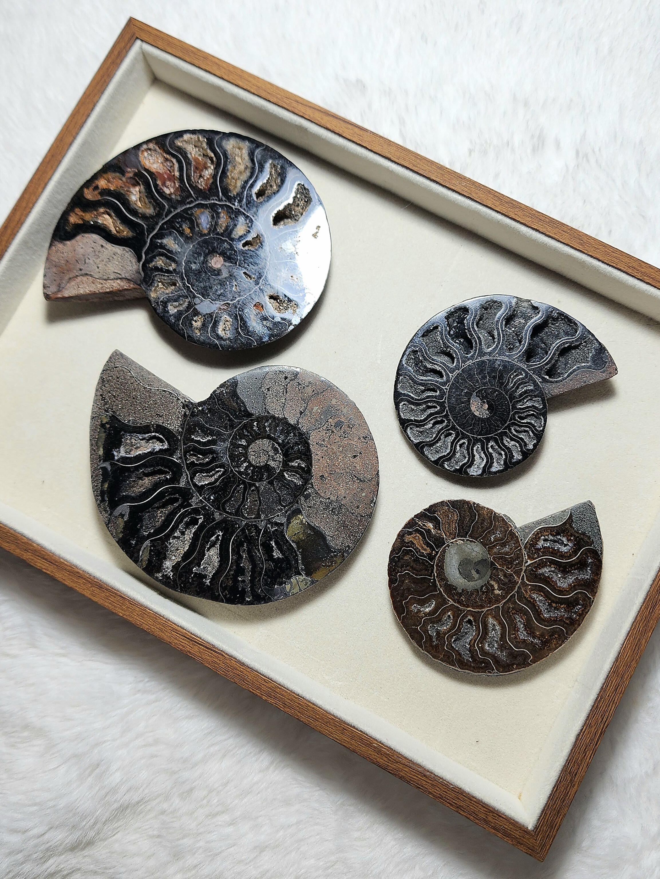 หินธรรมชาติ Little Turtlery ชิ้นที่ 1